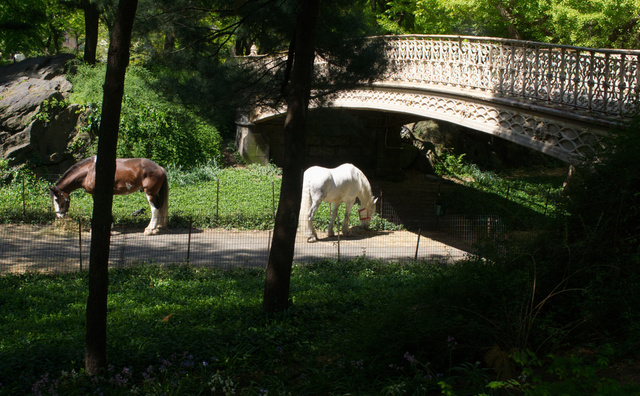 Portfolio Showcase — photograph 6 by Nikolay Pokrovskiy